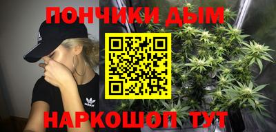 индика Новодвинск