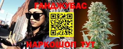 индика Новодвинск