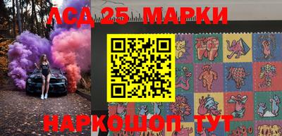 индика Новодвинск