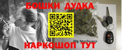 индика Новодвинск