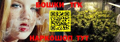 индика Новодвинск